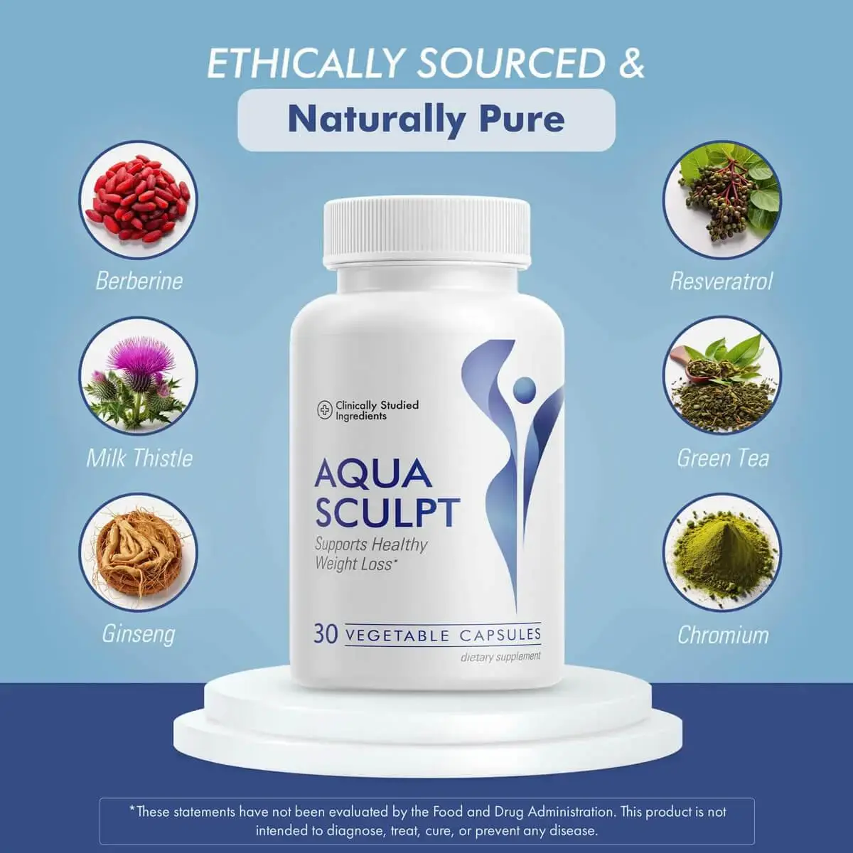 AquaSculpt ingredient infographic showing Berberine, Resveratrol, Milk Thistle, Green Tea, Ginseng, and Chromium
